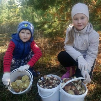 Час общения "Какие грибы съедобные"