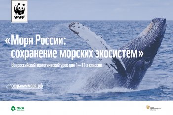 Эколог. урок "Моря России-сохранение экосистем"