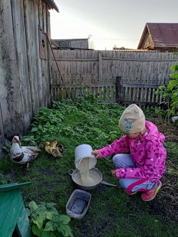 Конкурс «Быть хозяином на земле».