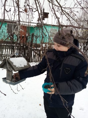 Экологическая .акция: "Покормите птиц зимой"